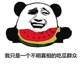 吃瓜啥意思网络用语,网络热词背后的文化现象